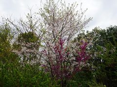 -杭州城北体育公园