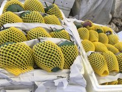 -双福水果批发市场
