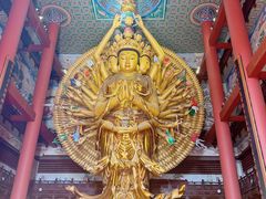 -上海东林寺(金山区)
