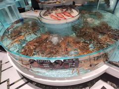 -鞍山大白鲨美食酒店