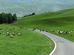 -新疆那拉提国家旅游度假区