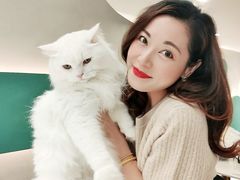 -飞行喵MR PILOT|猫舍·猫咖(静安大融城店)