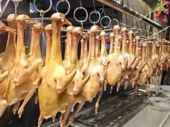 -三强鸽子(中原路店)