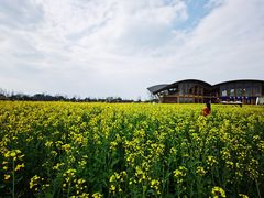 -中国天府农业博览园