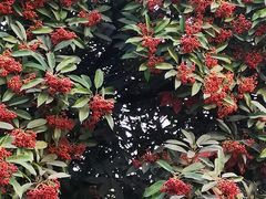 -汉景帝阳陵博物院