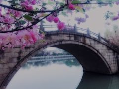 -杭州城北体育公园