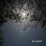 云龟山露营记