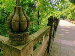 -南山植物园