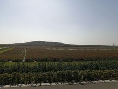 -南京枫彩漫城