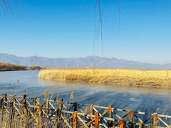 -野鸭湖国家湿地公园