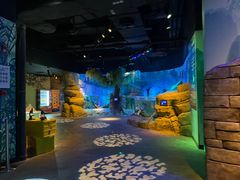 -沈阳海洋探索中心