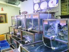 -八仔大富楼·河鲜(西江店)