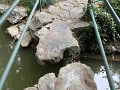 -汇龙潭