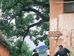 -杨家堂村