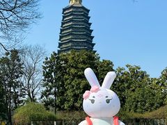 -红梅公园