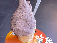 -野人先生现做冰淇淋(北京顺义祥云小镇店)