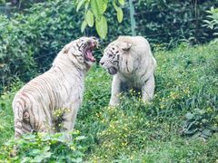 -乐和乐都主题乐园