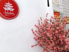 -一杯潮茶·专注潮汕茶饮(十二中创始店)