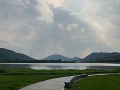 -风云岭森林公园