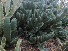 -南山植物园