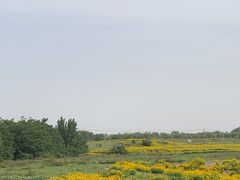 -汉长安城未央宫国家考古遗址公园