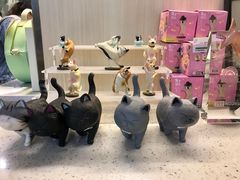 -momokira米努特·德文卷毛猫·棉花面纱犬