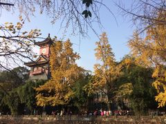 -四川大学(华西校区)