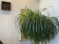 -御泉七味铁板烧(高区店)