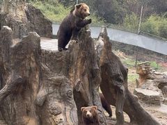 -杭州野生动物世界