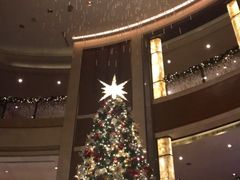 -深圳星河丽思卡尔顿酒店
