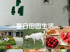 -新疆那拉提国家旅游度假区