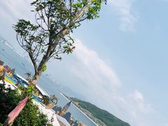 -芽庄珍珠岛游乐园
