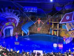 -烟台海昌鲸鲨海洋公园