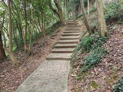 -上海佘山国家森林公园天马山园