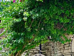 -高荡千年布依古寨旅游景区