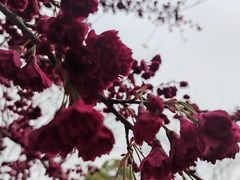 -堤角公园