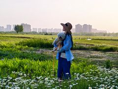 -汉长安城未央宫国家考古遗址公园