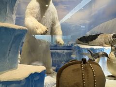 -国家自然博物馆