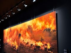 -罗红摄影艺术馆