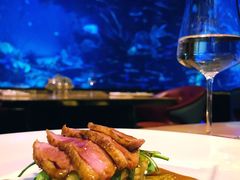 -迪拜帆船酒店海底餐厅