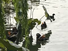 -北海公园-停车场