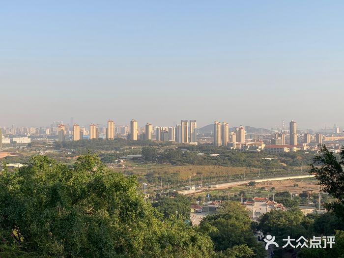 青礁慈济宫图片