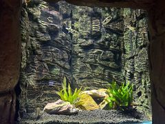 -上海海洋水族馆