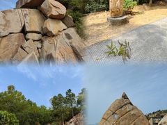 -广东惠东海龟国家级自然保护区