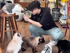 -有猫主题·治愈系猫咖(曾厝垵店)