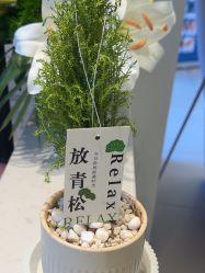 -水女人科技美肤·LDM·超清秀