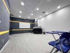 -西安小天鹅艺术团(金花路校区)