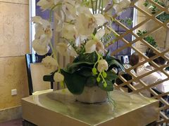 -东方之珠海鲜酒楼(南开店)
