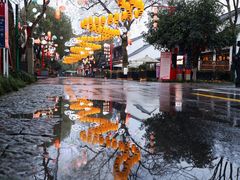 -西溪国家湿地公园