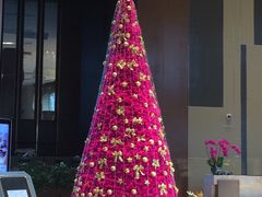 -上海国展宝龙丽筠酒店